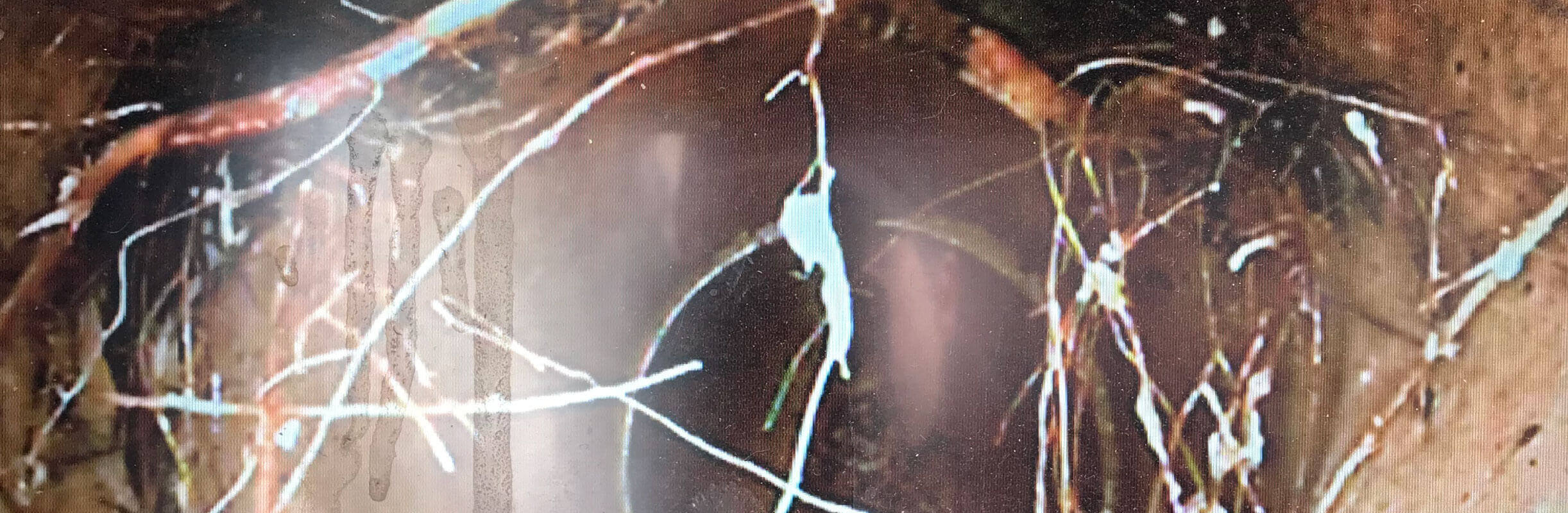 Bad pipe before sewer relining